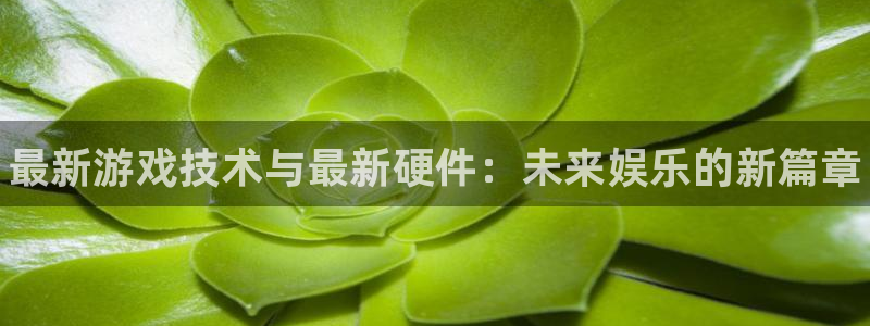 鼎点娱乐注册测速：最新游戏技术与最新硬件：未来娱乐的新篇章