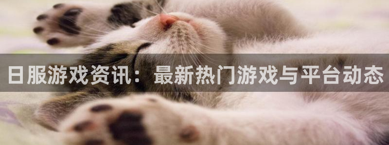 鼎点娱乐平台登陆：日服游戏资讯：最新热门游戏与平台动态