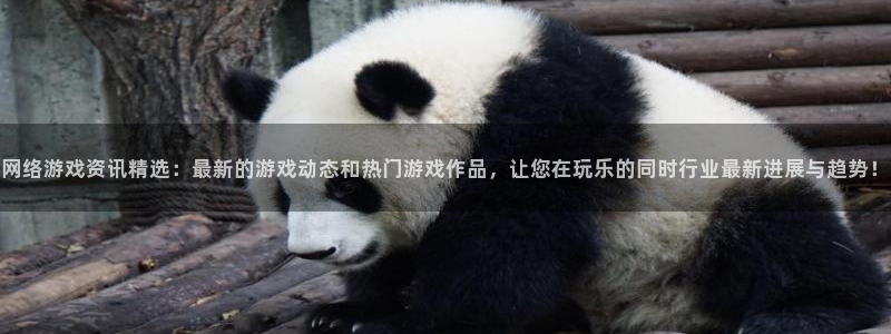 鼎点娱乐平台登录入口：网络游戏资讯精选：最新的游戏动态和热门