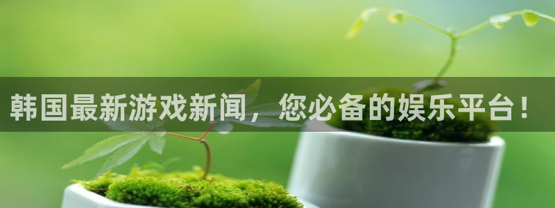 鼎点娱乐平台官网登录：韩国最新游戏新闻，您必备的娱乐平台！