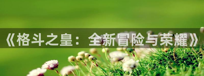 鼎点娱乐平台负责人：《格斗之皇：全新冒险与荣耀》