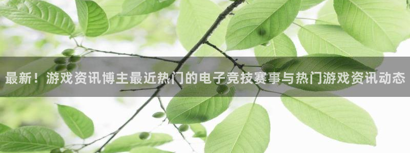 鼎点娱乐登录网址：最新！游戏资讯博主最近热门的电子竞技赛事与