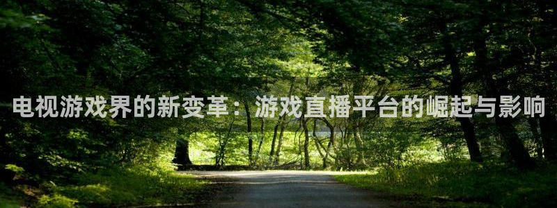 鼎点娱乐官方平台：电视游戏界的新变革：游戏直播平台的崛起与影