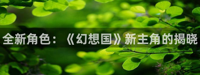 鼎点娱乐是什么：全新角色：《幻想国》新主角的揭晓