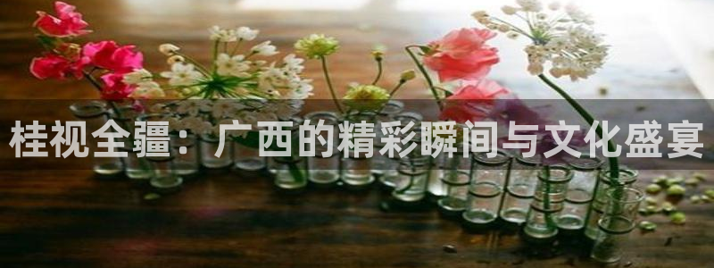 919体育在线直播官网：桂视全疆：广西的精彩瞬间与文化盛宴