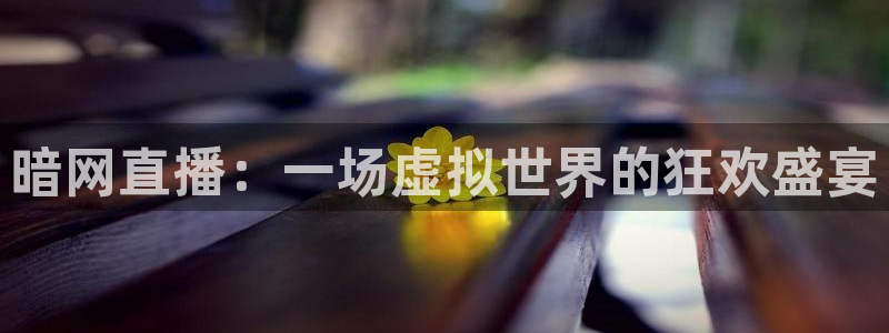 919体育直播app：暗网直播：一场虚拟世界的狂欢盛宴