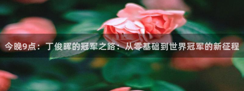 919体育专业直播平台