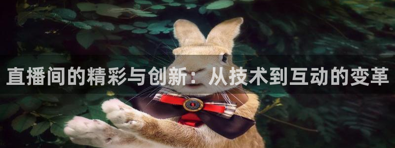 919直播体育
