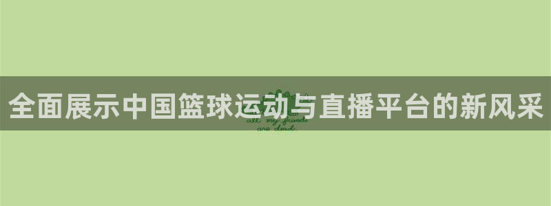 919体育直播苹果版：全面展示中国篮球运动与直播平台的新风采