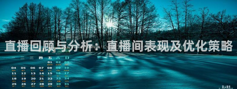 nba直播919：直播回顾与分析：直播间表现及优化策略